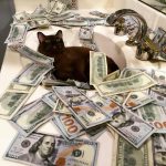 Стабилизаторы Quant изменение цен!